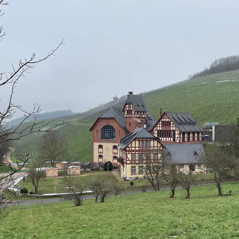 Gut Avelsbach in den Weinbergen in Trier-Kürenz. (Foto: SWR)