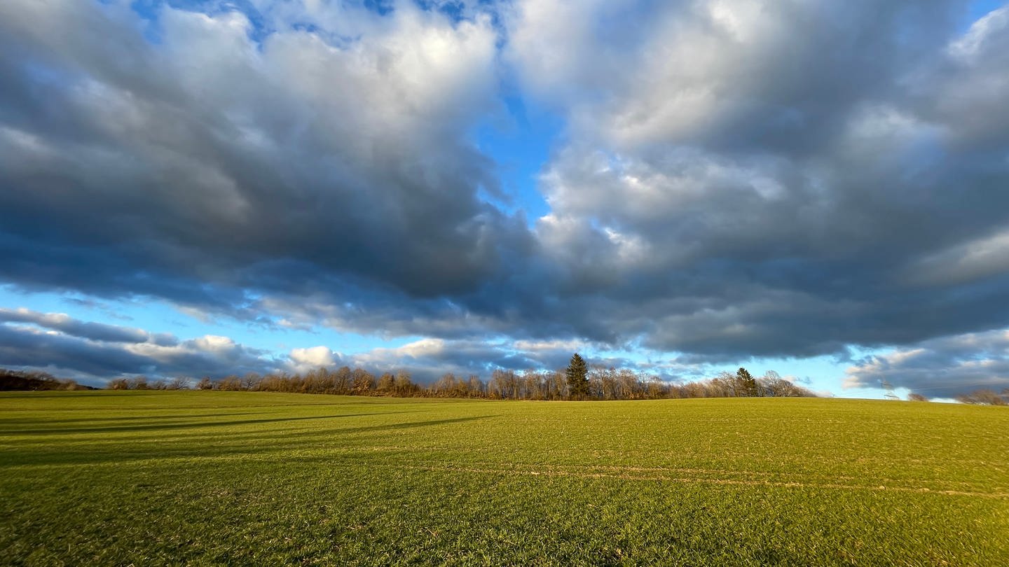 Wolken und Sonne bei einem Feld bei Reinsfeld (Foto: SWR)