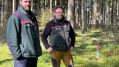 Forstamtsleiter Saarburg Lucas Landenberger und Revierleiter Forstrevier Klink Joachim Haupert (Foto: SWR)