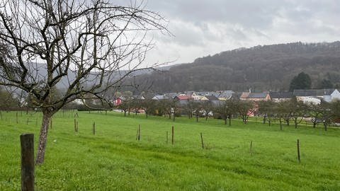 Auf diesem Grundstück in Ralingen sollen mehrere Bauprojekte umgesetzt werden. (Foto: SWR, Lara Dudek)