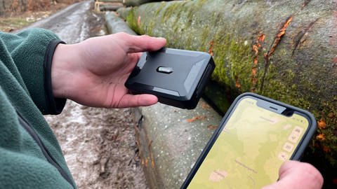 GPS-Tracker sollen helfen Holzdiebstähle im Wald zu vermeiden oder aufzuklären (Foto: SWR, Ludger Peters)