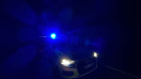 Nachts geht auf der Landstraße nichts ohne Blaulicht, wenn die Polizisten jemanden kontrollieren. Zu gefährlich wäre es, wenn andere Autofahrer die Kontrolle übersehen. (Foto: SWR, Anna-Carina Blessmann)