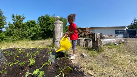 Die siebenjährige Marie hat im Projekt gelernt, wie wichtig es ist, neu gepflanzte Blumen anzugießen. (Foto: SWR, Anna-Carina Blessmann)