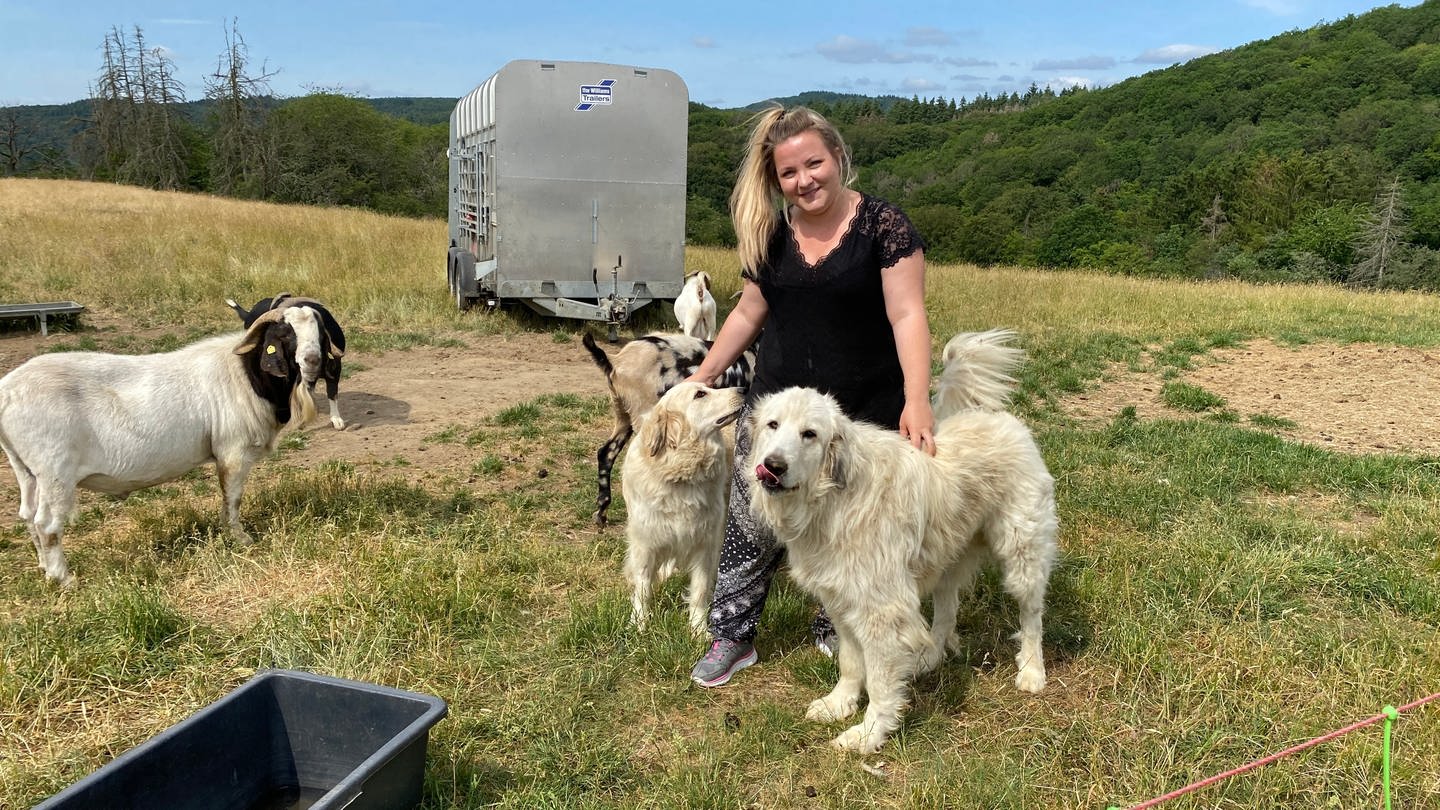 Für Schäferin Heike Dahm-Rulf sind Herdenschutzhunde eine gute Möglichkeit, ihre Schafe, Ziegen und Kühe zu schützen. (Foto: SWR, Anna-Carina Blessmann)