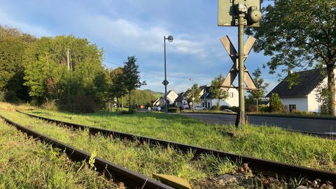 Jens Wießner kämpft seit Jahren für die Reaktivierung der Eifelquerbahn. Er lebt selbst in Nordrhein-Westfalen, verbringt aber seine Ferien in Kötterichen bei Ulmen.  (Foto: SWR, Christian Altmayer )
