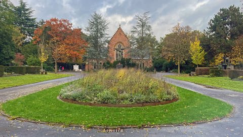 Eine naturnahe Umgestaltung der Grünflächen auf dem Hauptfriedhof Trier soll für mehr Artenvielfalt sorgen.  (Foto: SWR)