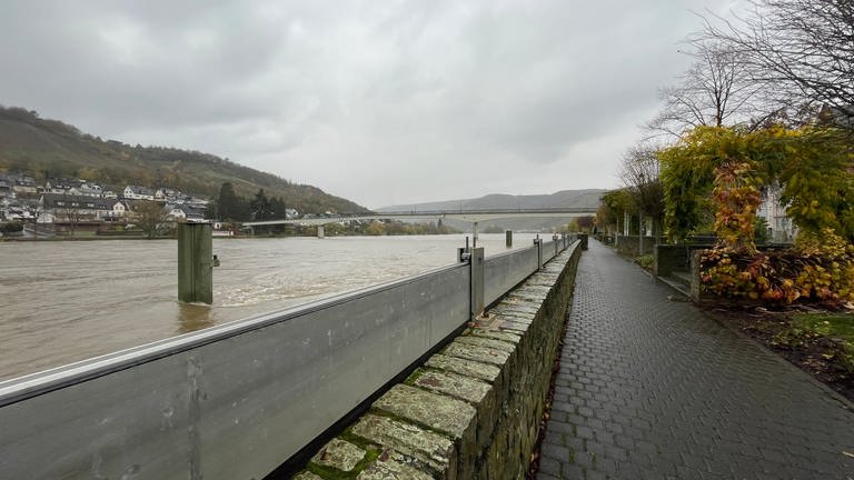 Mosel Hochwasser Zeltingen-Rachtig, Ürzig, Reil und Zell  (Foto: SWR)