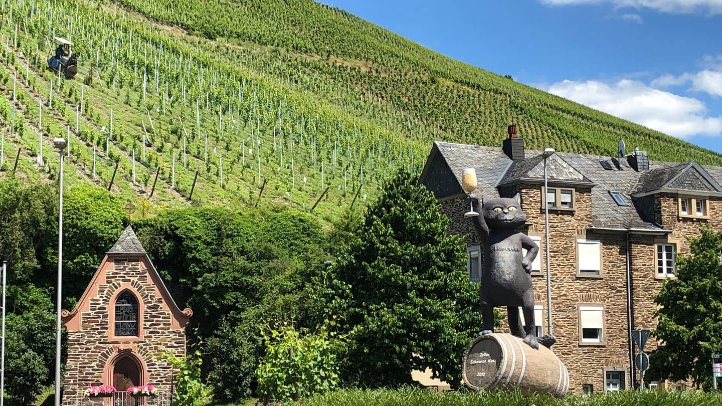 Das Verwaltungsgericht Koblenz hat zur Umbenennung der Weinlage 