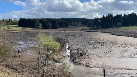 Nach Angaben des LBM drückte das Wasser des Sees gegen die Straße daneben. Bei Arbeiten zum Freimachen eines Abflusses sei das Wasser unkontrolliert abgeflossen und der See lief leer. (Foto: SWR, Andrea Meisberger)