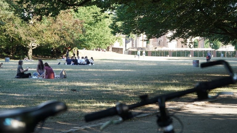 Tagsüber verbringen viele junge Leute ihre Freizeit auf der großen Wiese im Palastgarten (Foto: SWR)