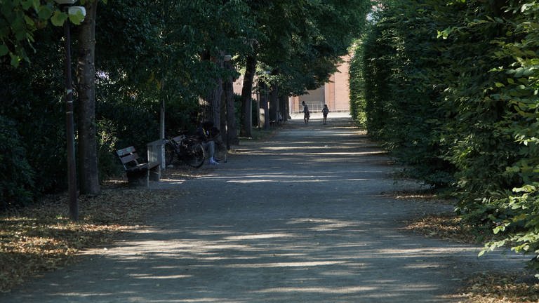 Dichte Bäume und Hecken sorgen schnell für "dunkle Ecken" im Palastgarten (Foto: SWR)