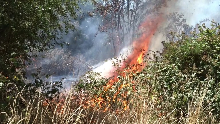 Bei Deuselbach brannte ein Waldstücl.