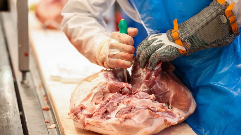 Ein Mitarbeiter zerlegt Schweinekeulen in einem Schlachtbetrieb.  (Foto: picture alliance/dpa/dpa-Zentralbild | Jan Woitas)