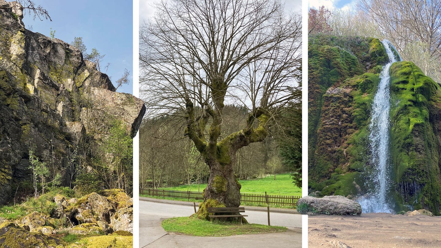 Bildmontage: Naturdenkmäler in der Region Trier (Foto: SWR, Montage: SWR)