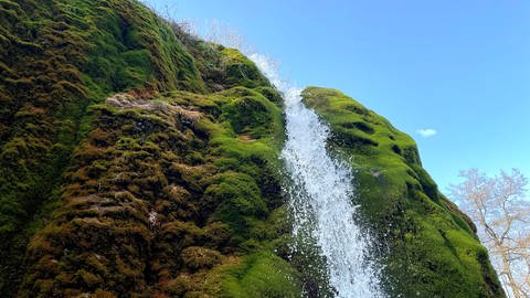 Der Wasserfall plätschert über einen Felsvorsprung, der ringsum mit Moos bewachsen ist. (Foto: SWR)
