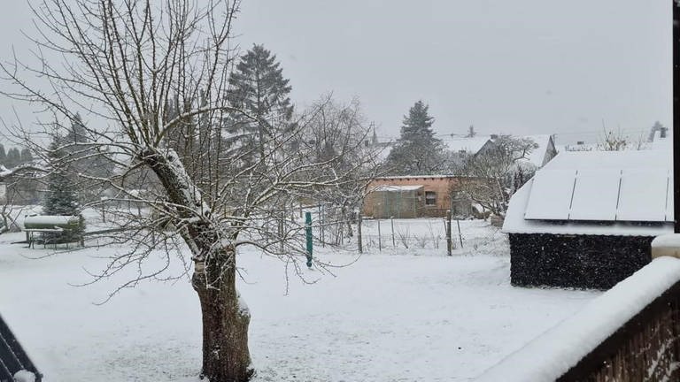Schnee auch in Zemmer-Rodt in der Eifel. (Foto: SWR)