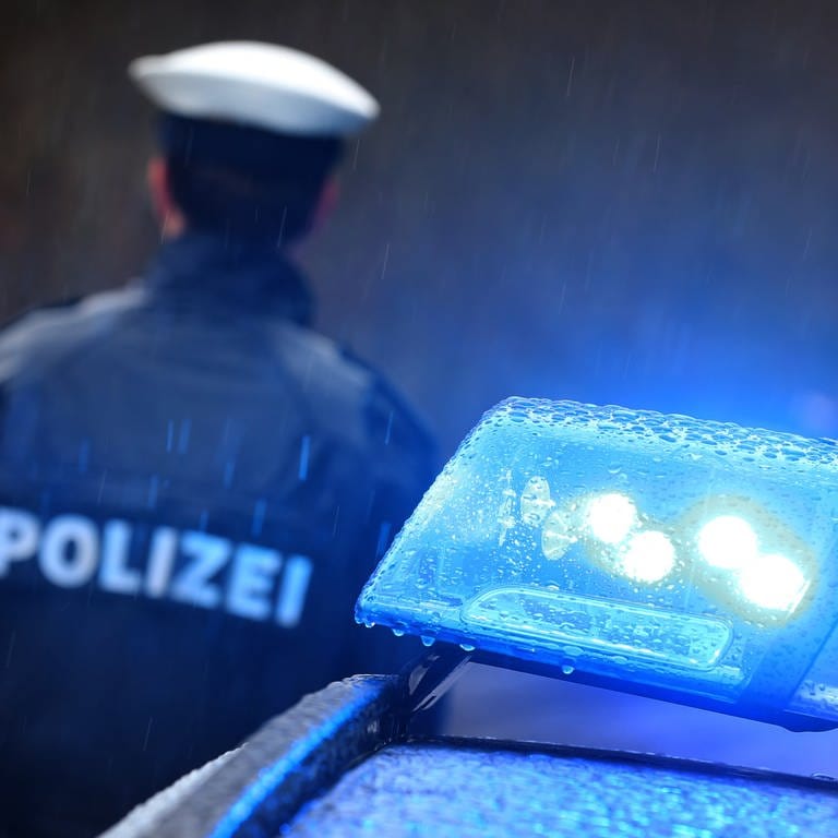 Polizeiauto mit Blaulicht (Foto: dpa Bildfunk, picture alliance/dpa | Karl-Josef Hildenbrand)