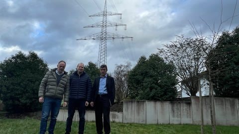 Thilo Barzen, Karl Klein und Peter Mertes wollen keine größeren Stromleitungen am Ortsrand von Salmtal.  (Foto: SWR, Christian Altmayer )