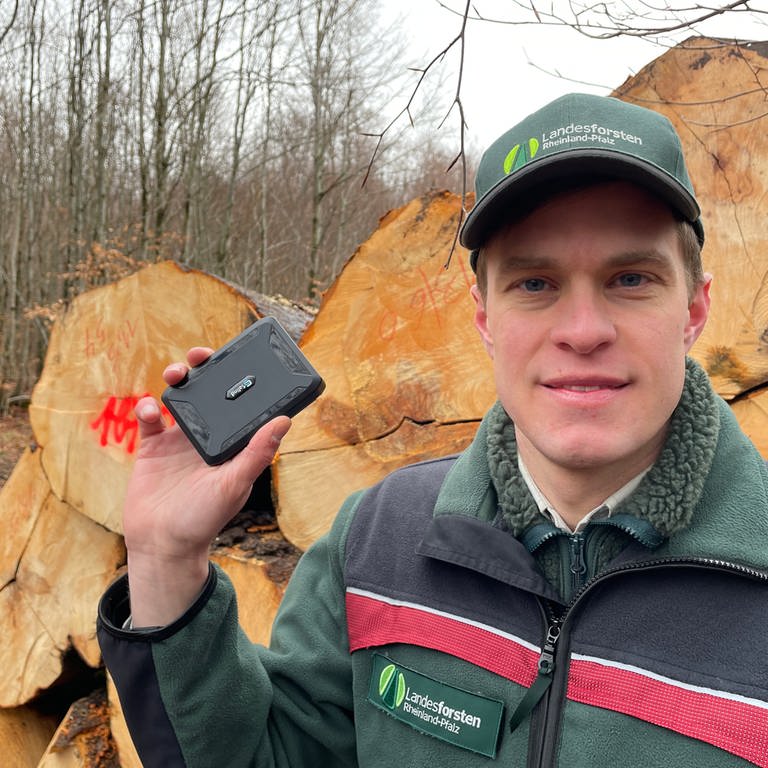 GPS-Tracker sollen im Hunsrück helfen Holzdiebstahl zu vermeiden