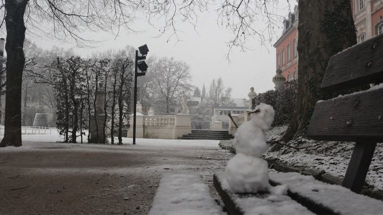Schneefall am Freitag Nachmittag in Trier.  (Foto: SWR, Vasilij Kotov)