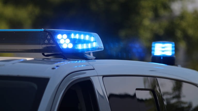 Polizeisirene auf Polizeiauto - In Trier hat ein Mann versucht einen Bundespolizisten zu beißen (Foto: SWR)