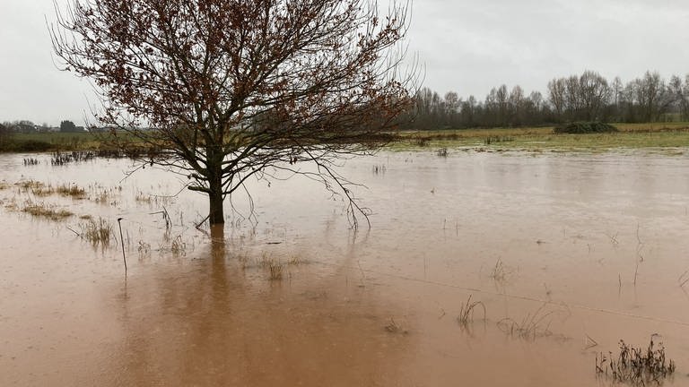 Die Felder neben dem Bach haben bei der letzten Überschwemmung nicht ausgereicht um die Überflutung zu vermeiden. (Foto: Brämer & Reihsner PartGmbB Ingenieurbüro)