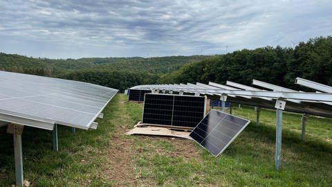 Solarpark Karlshausen Südeifel (Foto: SWR, Lara Bousch)