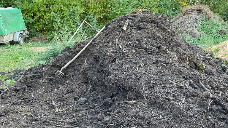 Kompost kann ein Gärtner nie genug haben. In puncto Trockenheit verbessert er, wie auch abgelagerter Mist die Fähigkeit des Bodens, Wasser zu speichern.