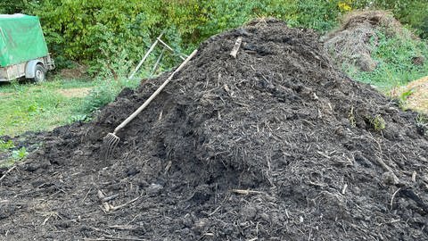 Kompost kann ein Gärtner nie genug haben. In puncto Trockenheit verbessert er, wie auch abgelagerter Mist die Fähigkeit des Bodens, Wasser zu speichern. (Foto: SWR, Lara Bousch)