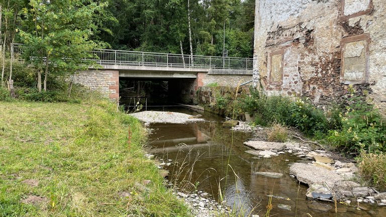Letztes Jahr während der Flutkatastrophe stand das Wasser der Enz bis ein Meter unter dieser Brücke. Dieses Jahr ist der Bach so klein wie fast noch nie. (Foto: SWR, Lara Bousch)