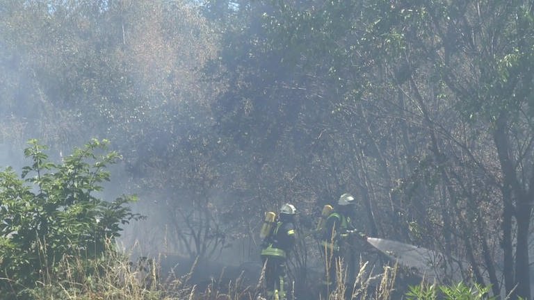 Mehrfach musste die Feuerwehr in den vergangenen Wochen ausrücken, weil es rund um Reinsfeld brannte. (Foto: Steil TV)