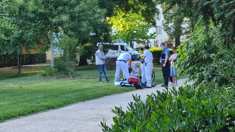 Bei einem Streit im Palastgarten wurde ein 20-jähriger mit einem Messer verletzt. (Foto: SteilTV)