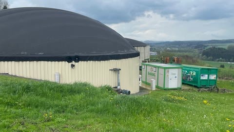 In einer Biogasanlage vergärt Rene Blum neben Mais auch die durchwachsene Silphie.  (Foto: SWR, Christian Altmayer )