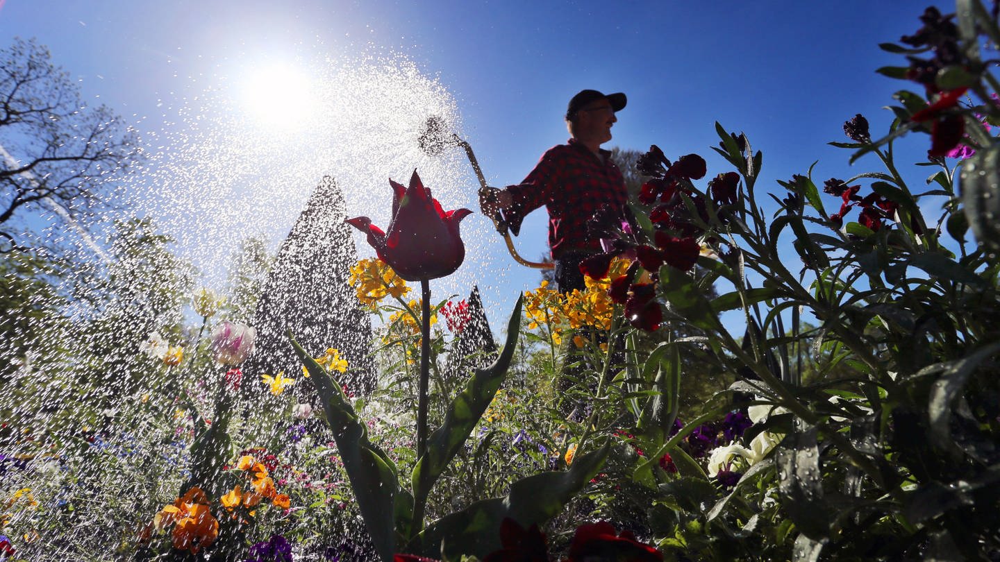 Ein Arbeiter wässert Blumenbeete. (Foto: picture-alliance / Reportdienste, picture alliance/dpa | Karl-Josef Hildenbrand)