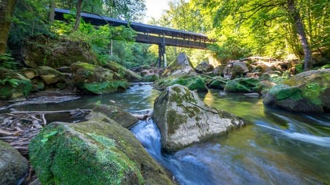 Die Irreler Wasserfälle mit der alten Holzbrücke vor der Flut. (Foto: IMAGO, IMAGO / Jochen Tack)