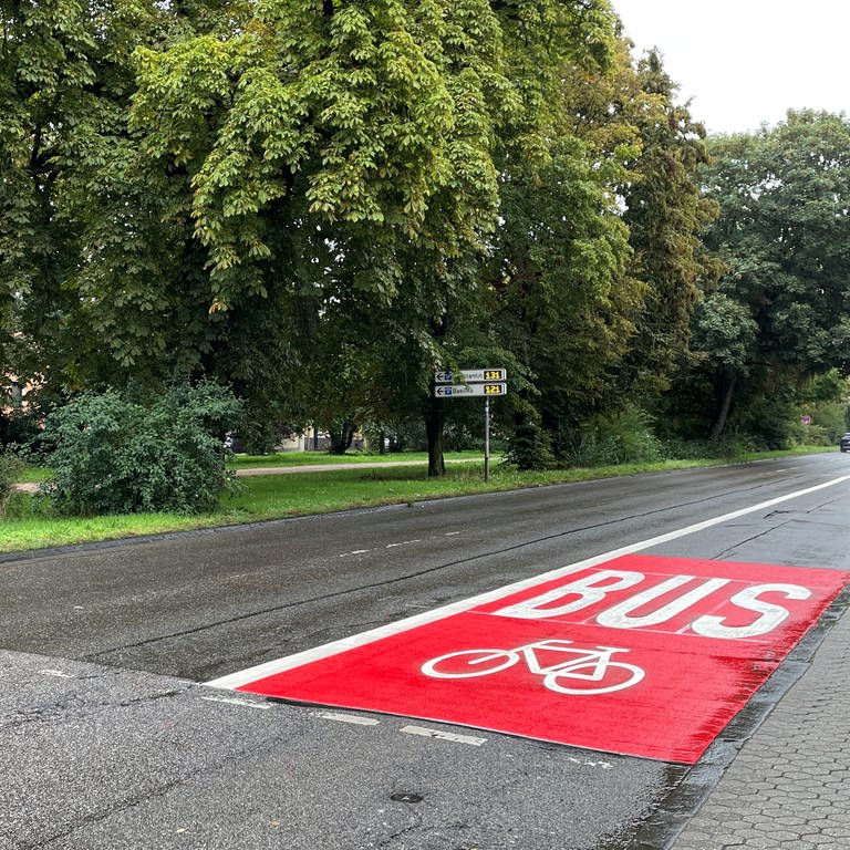 Die neue Umweltspur an der Südallee in Trier ist teils rot markiert. 