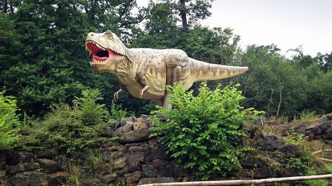 Ein Tyrannosaurus Rex im Dinosaurierpark an der Teufelsschlucht. Der Park verzeichnet seit der Corona-Pandemie wesentlich mehr Besucher. Als Outdoor-Angebot musste der Dinopark nicht wie viele andere Freizeitangebote über einen längeren Zeitraum schließen. Die Besucherzahlen seien auch nach dem Ende der Lockdowns nicht wieder auf das Niveau von 2019 gesunken, sondern gleichbleibend hoch geblieben.  (Foto: SWR)