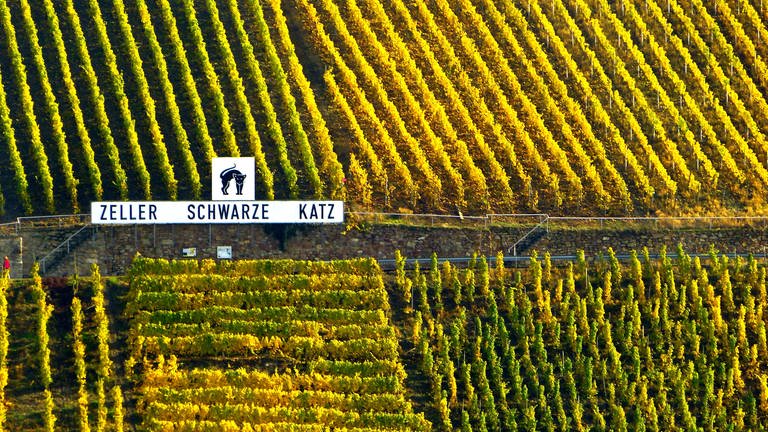 Die Weinlage "Zeller Schwarze Katz" (Foto: Hans-Peter Döpgen)