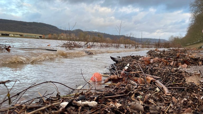 Das Hochwasser hat Müll am Moselufer in Trier angeschwemmt
