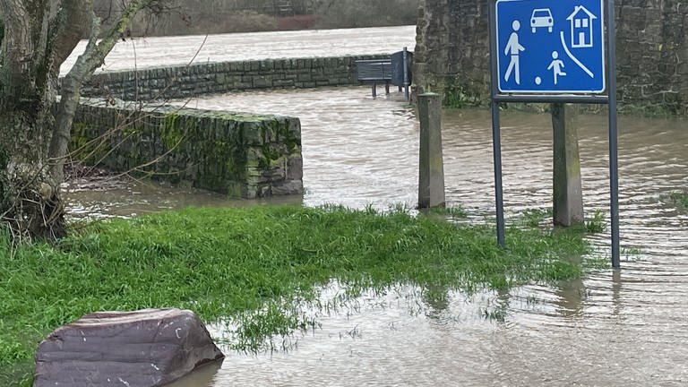 Hochwasser an der Mosel in Pfalzel im Januar 2024 (Foto: SWR)