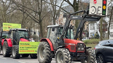 Bei der Bauerndemo in Trier war der Alleenring fest in den Händen der Landwirte.  (Foto: SWR)
