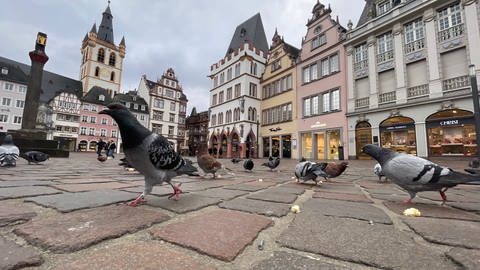 Während der Bauernproteste in Trier war die Innenstadt wie leer gefegt. Einige Geschäfte und Arztpraxen hatten daher auch geschlossen. Offenbar sind viele Menschen wegen der angekündigten Proteste heute nicht in die Stadt gefahren (Foto: SWR, Ludger Peters)