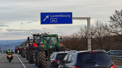 Bauern auf dem Weg nach Trier. (Foto: Steil-TV)