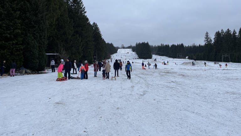 Skifahren war am Wochenende auf dem Erbeskopf im Hunsrück nicht möglich, rodeln ging aber. (Foto: SWR)