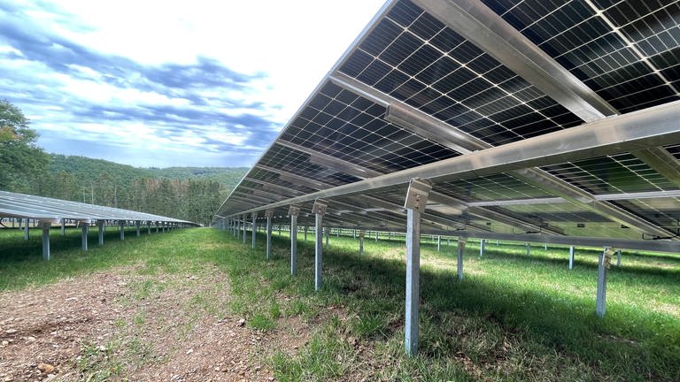 Größter Solarpark von Rheinland-Pfalz entsteht in der Südeifel (Foto: SWR, Lara Bousch)