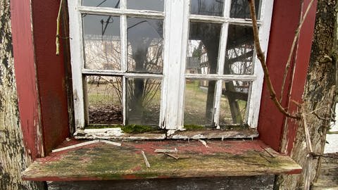 An den Fenstern des Stallgebäudes zeigt sich der Verfall. Innerhalb der Häuser sind die tragenden Balken offenbar von Käfern und Würmern zerfressen. (Foto: SWR, Anna-Carina Blessmann)