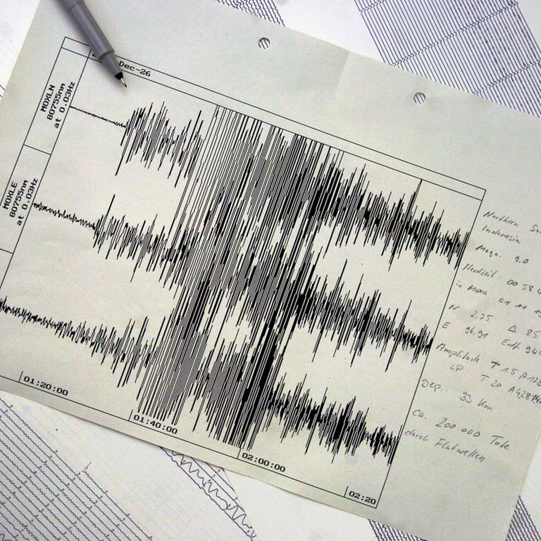 Das Landesamt für Geologie will in der Eifel zwölf neue Messstationen für Erdbeben bauen.  (Foto: picture-alliance / Reportdienste, Picture Alliance)