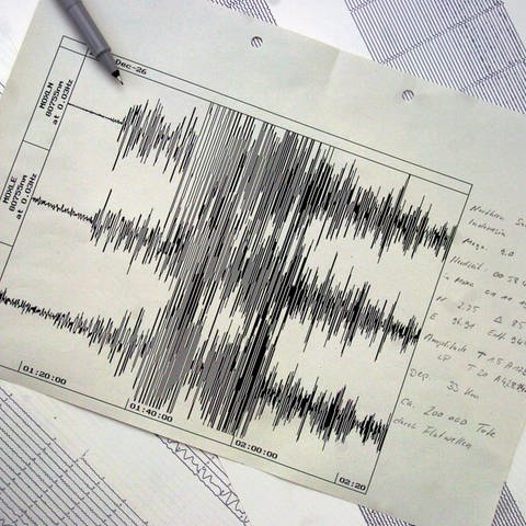 Das Landesamt für Geologie will in der Eifel zwölf neue Messstationen für Erdbeben bauen. 