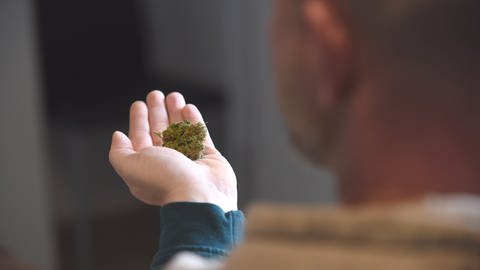 Seit März 2017 ist Cannabis ist als Medikament zugelassen.