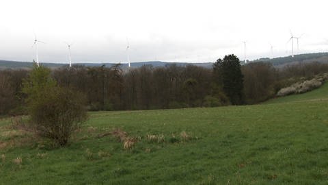 Auf dem Ranzenkopf im Hunsrück drehen sich schon etliche Windräder. Die Gemeinde Burgen würde gerne noch drei weitere Rotoren bauen.  (Foto: SWR, Christian Altmayer)